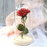 Thumbnail for Beauty And The Beast Rose Glass Dome Light