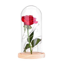 Thumbnail for Beauty And The Beast Rose Glass Dome Light