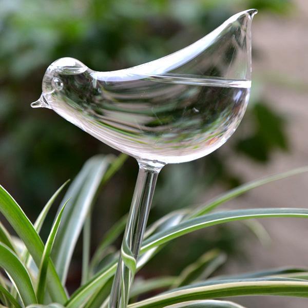 Bird Snail Self Watering Glass Globe