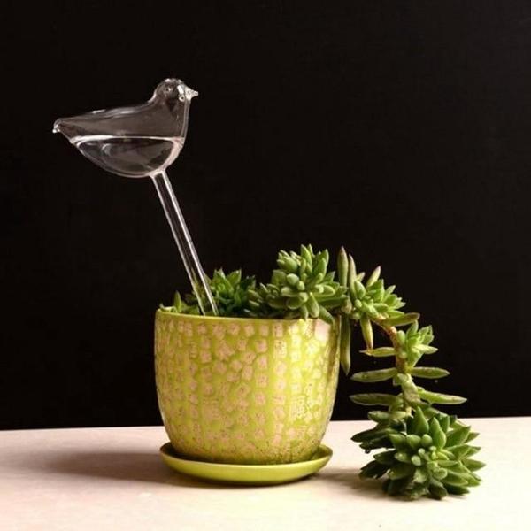 Bird Snail Self Watering Glass Globe