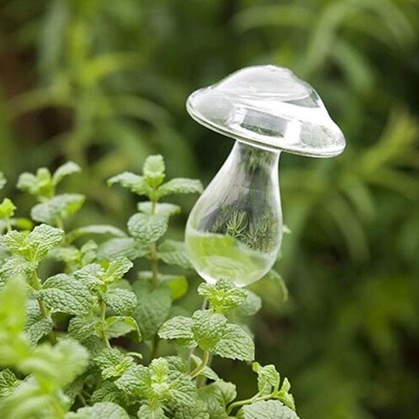 Bird Snail Self Watering Glass Globe