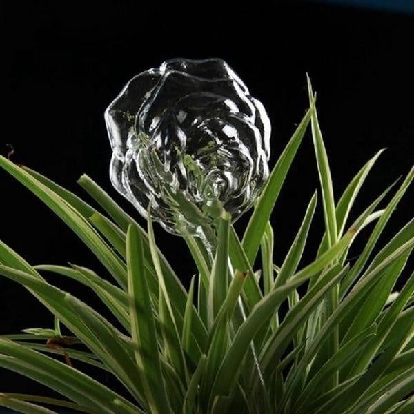 Bird Snail Self Watering Glass Globe