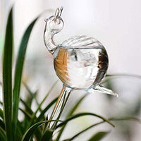 Thumbnail for Bird Snail Self Watering Glass Globe