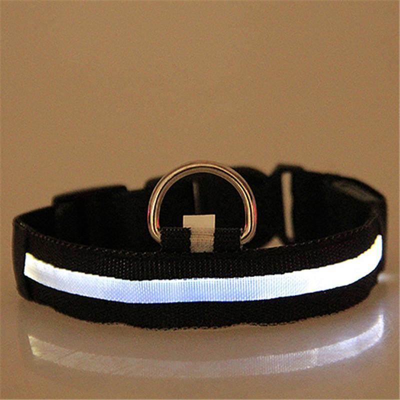 LED Dog Collar