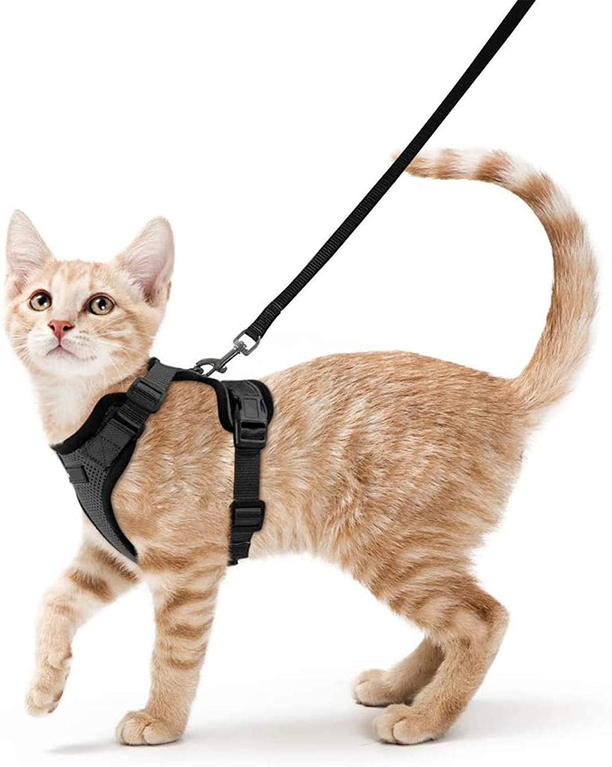 Cat Harness For Walking