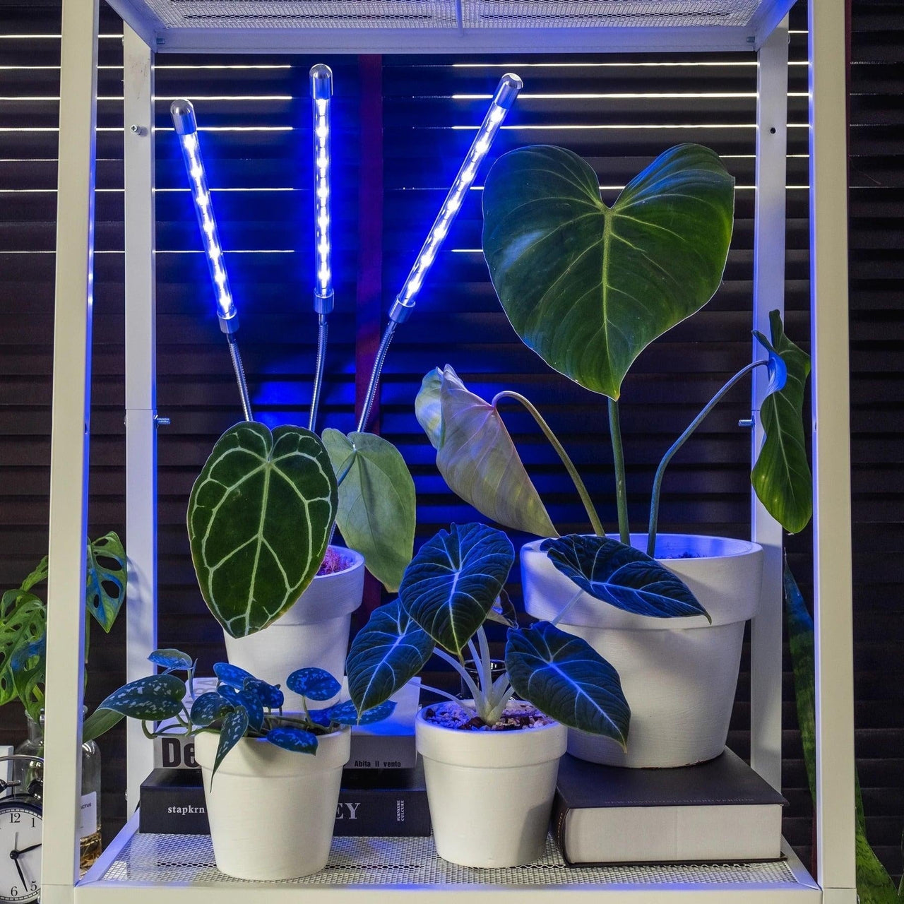 Grow Light Indoor Plants PeekWise