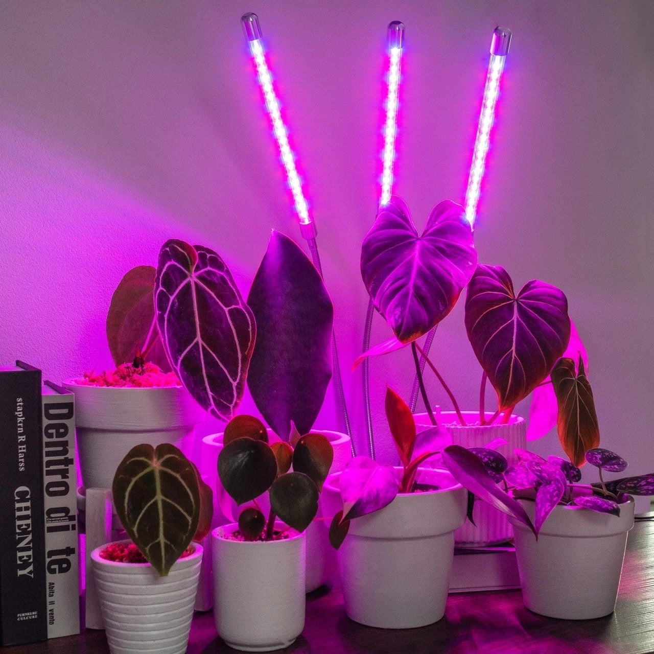 Grow Light Indoor Plants PeekWise