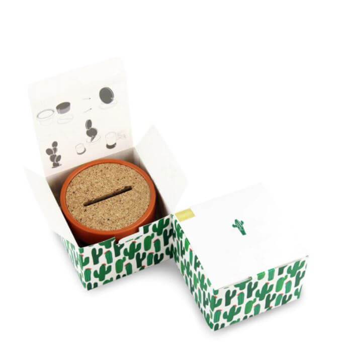 Cactus Coaster Set PeekWise