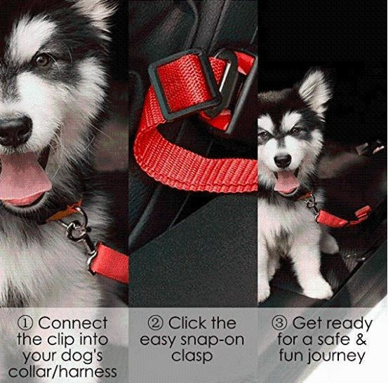 Dog Harness Clip Seat Belt PeekWise