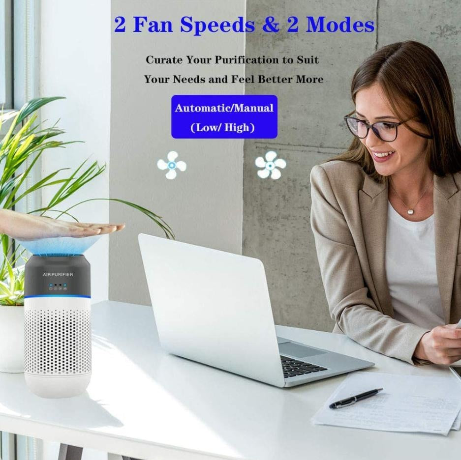 Car Air Purifier PeekWise