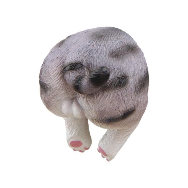 Cat Butt and Balls Fridge Magnets (Set of 4)