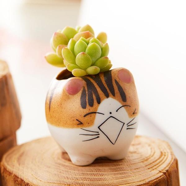 Cat Ceramic Planter Pot Terrarium