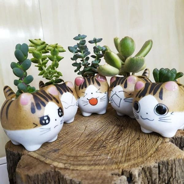 Cat Ceramic Planter Pot Terrarium