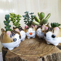 Thumbnail for Cat Ceramic Planter Pot Terrarium