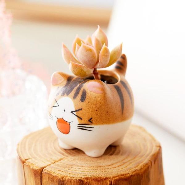 Cat Ceramic Planter Pot Terrarium