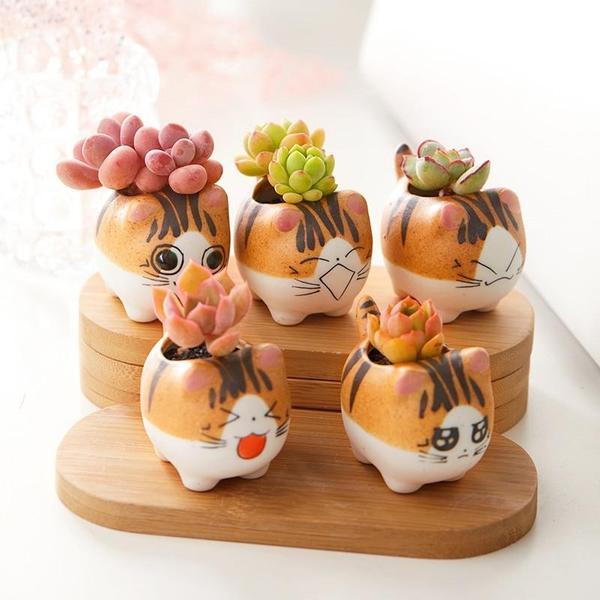 Cat Ceramic Planter Pot Terrarium