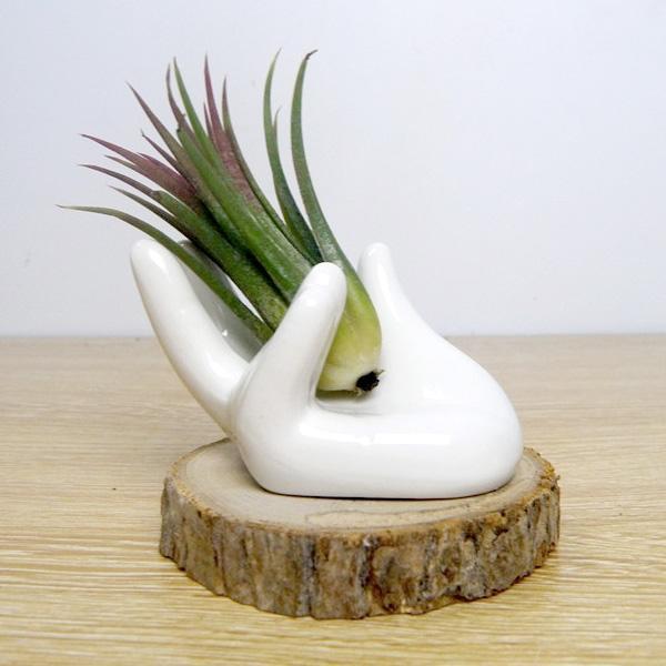 Ceramic Hand Shaped Air Plant Egg Jewelry Holder