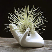 Thumbnail for Ceramic Hand Shaped Air Plant Egg Jewelry Holder