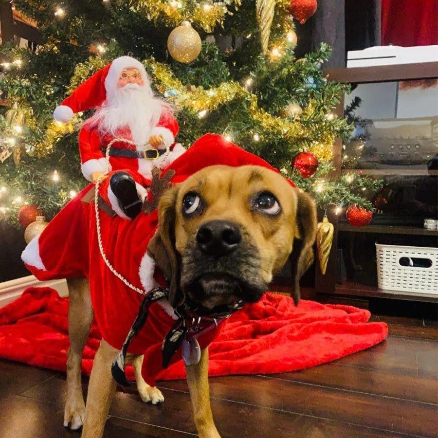 Christmas Santa Dog Costume - PeekWise