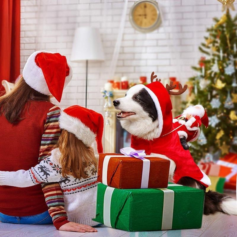 Christmas Santa Dog Costume - PeekWise