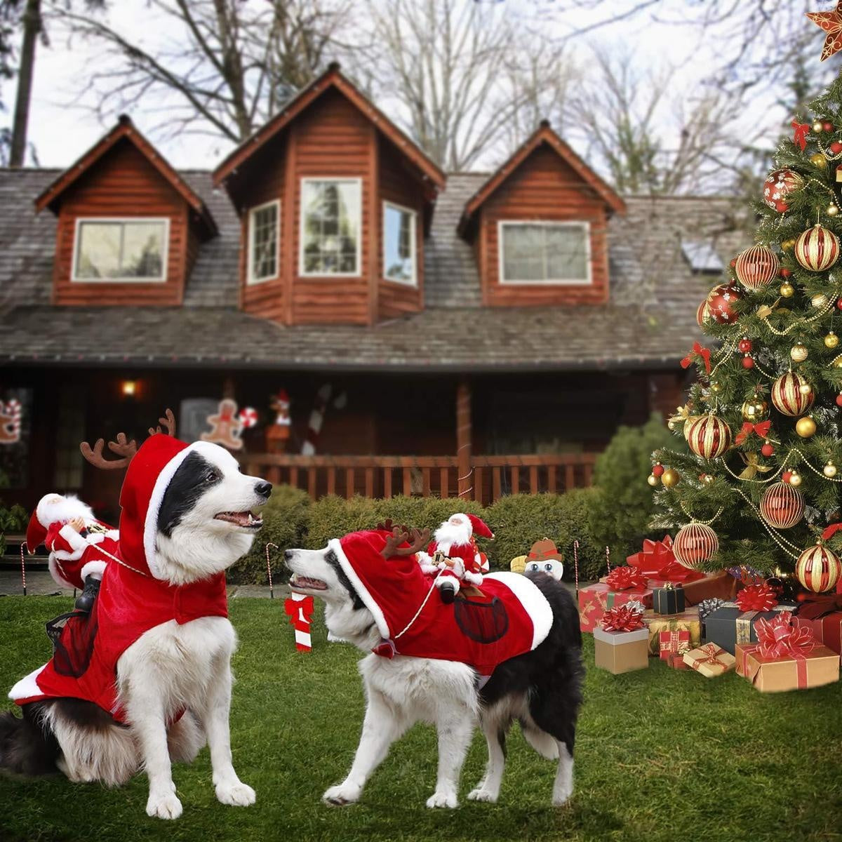 Christmas Santa Dog Costume - PeekWise