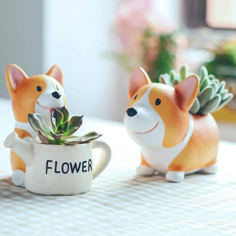 Corgi Pot PeekWise