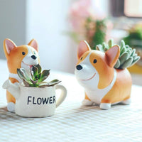 Thumbnail for Corgi Pot PeekWise