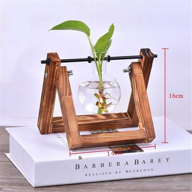 Wooden Terrarium Desk Planter - PeekWise