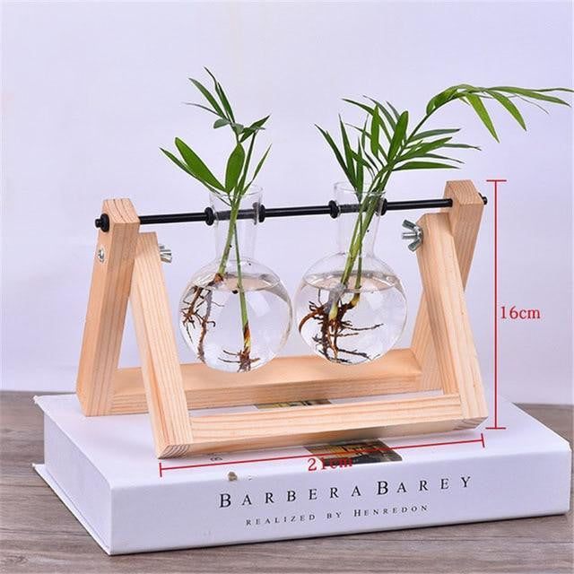 Wooden Terrarium Desk Planter - PeekWise