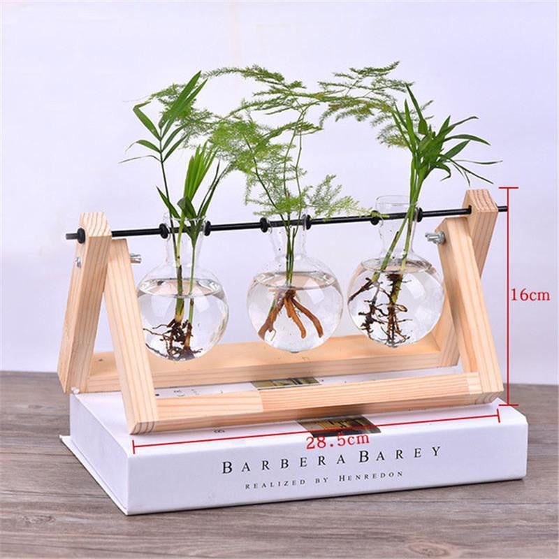 Wooden Terrarium Desk Planter - PeekWise