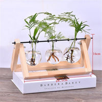 Thumbnail for Wooden Terrarium Desk Planter - PeekWise