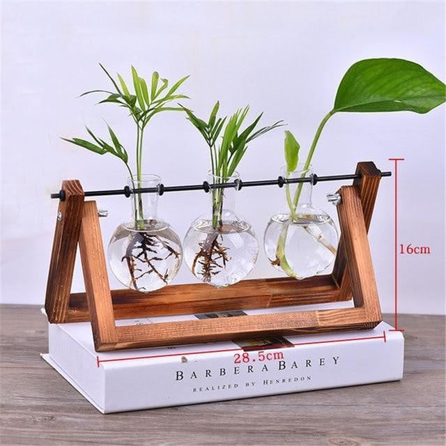 Wooden Terrarium Desk Planter - PeekWise