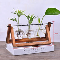 Thumbnail for Wooden Terrarium Desk Planter - PeekWise