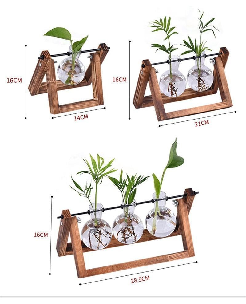 Wooden Terrarium Desk Planter - PeekWise