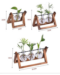 Thumbnail for Wooden Terrarium Desk Planter - PeekWise