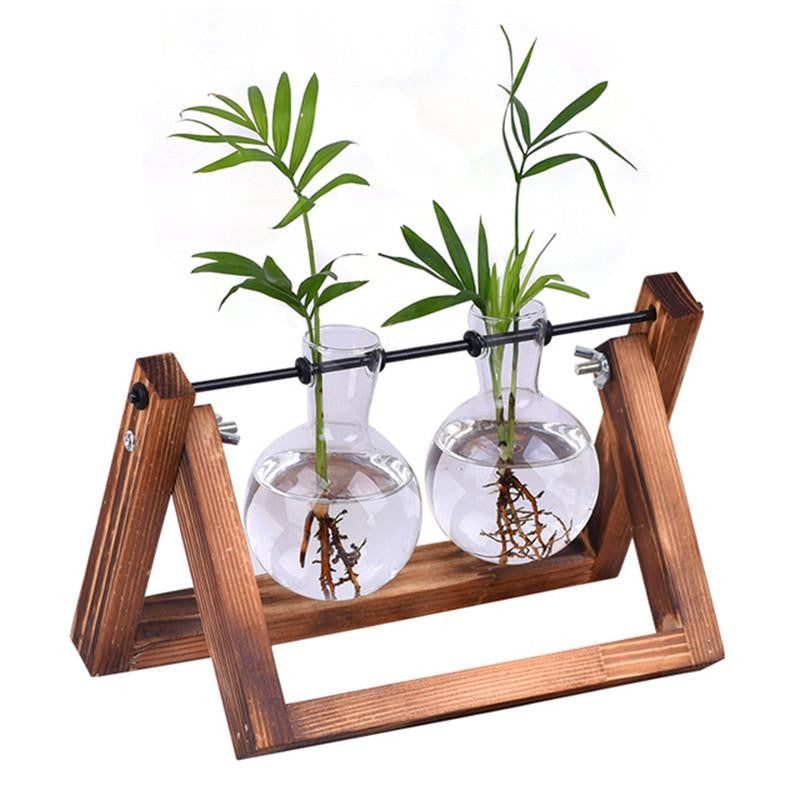 Wooden Terrarium Desk Planter - PeekWise