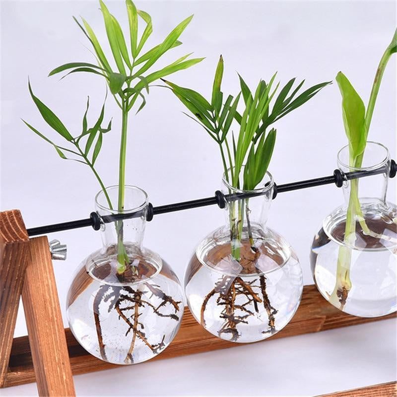 Wooden Terrarium Desk Planter - PeekWise