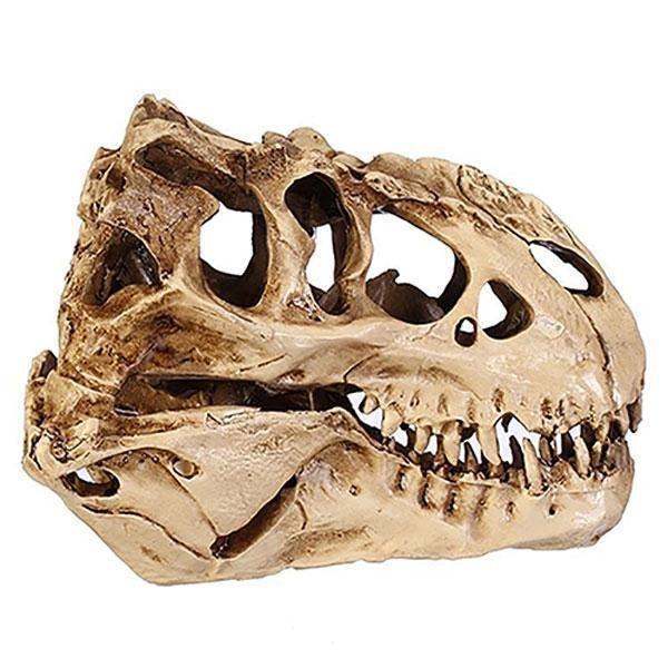 Dinosaur Skull Fossil Decoration