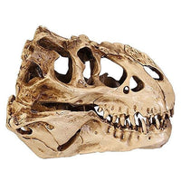 Thumbnail for Dinosaur Skull Fossil Decoration