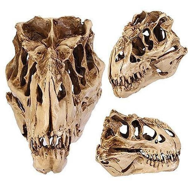 Dinosaur Skull Fossil Decoration PeekWise