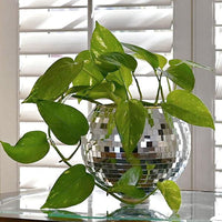 Thumbnail for Disco Ball Hanging Planter Pot