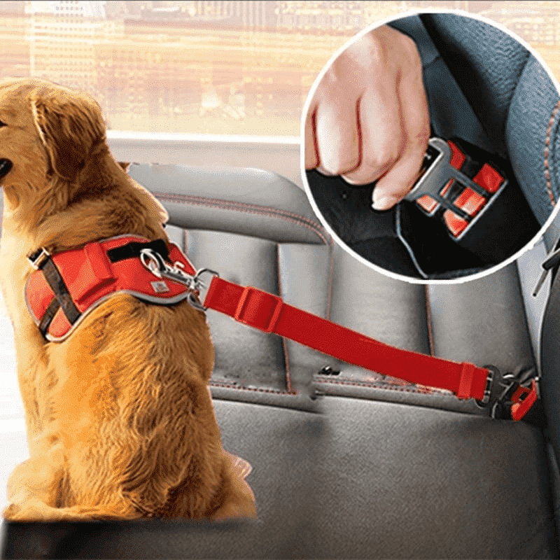 Dog Harness Clip Car Seat Belt - PeekWise