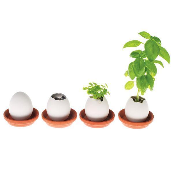 Egg Planters with Seeds (Set of 3)