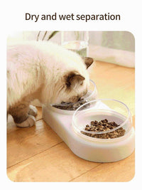 Thumbnail for Elevated Cat Bowl PeekWise