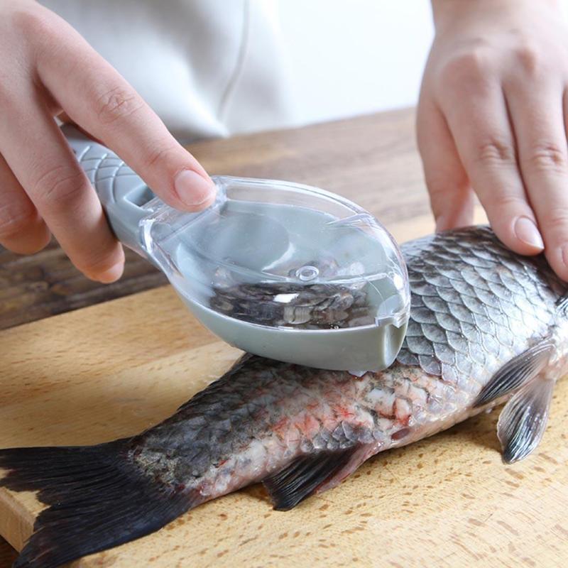 Fish Scale Scraper PeekWise