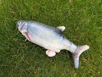 Thumbnail for FishyMusic - Singing Dancing Fish