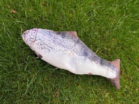 Thumbnail for FishyMusic - Singing Dancing Fish