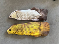 Thumbnail for FishyMusic - Singing Dancing Fish