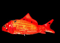 Thumbnail for FishyMusic - Singing Dancing Fish