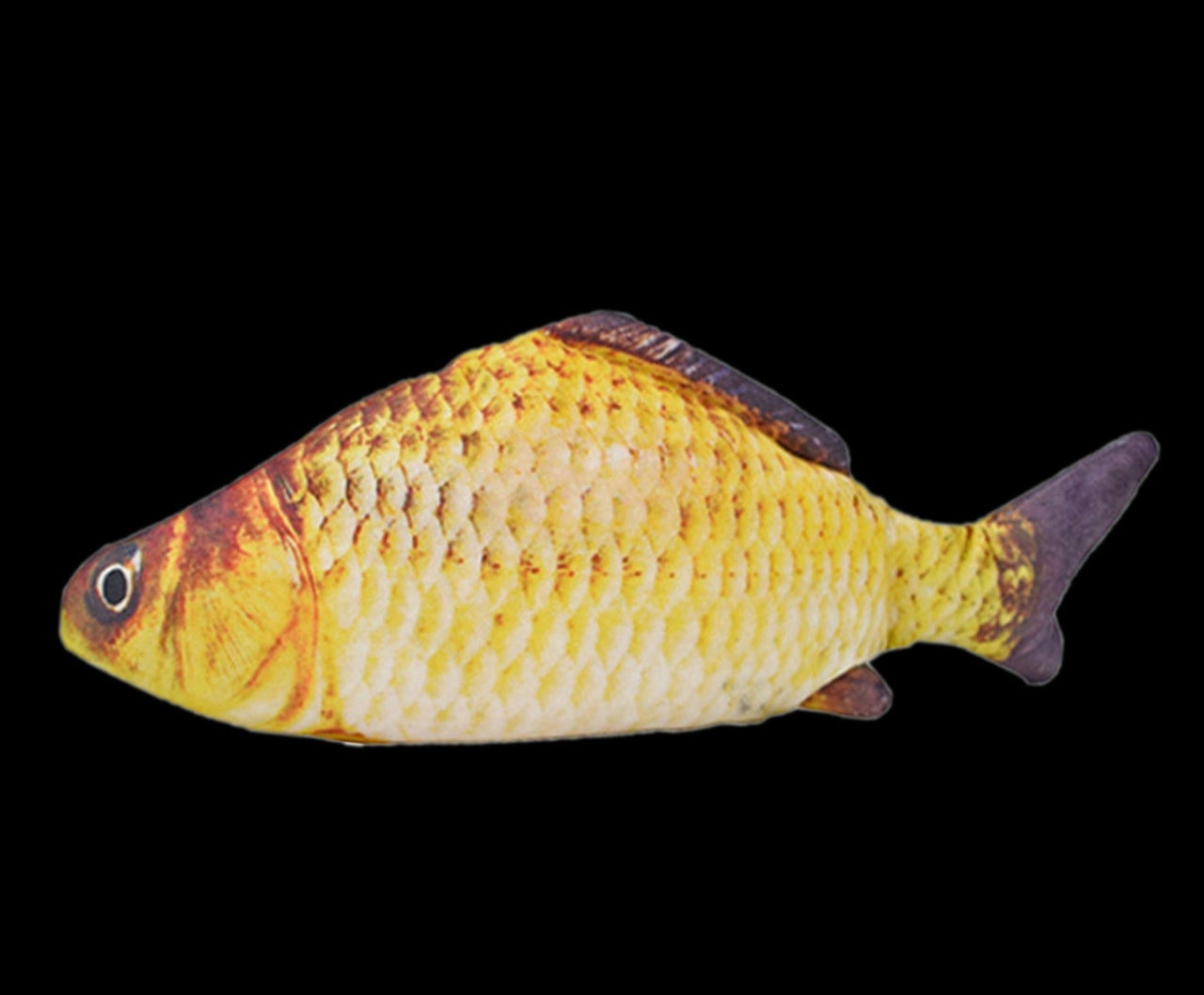 FishyMusic - Singing Dancing Fish